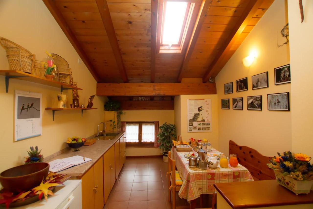 Guest House Il Nido Dello Svasso -Foresteria Lombarda- Sorico Exteriér fotografie
